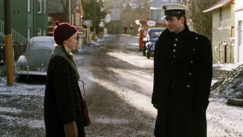 Möwengelächter Bild 3