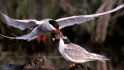 Magie der Jahreszeiten Bild 1