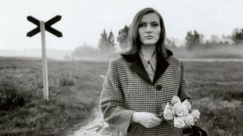 Pimedad aknad Bild 1