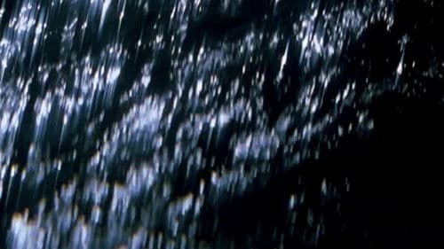 Comingled Containers Bild 6