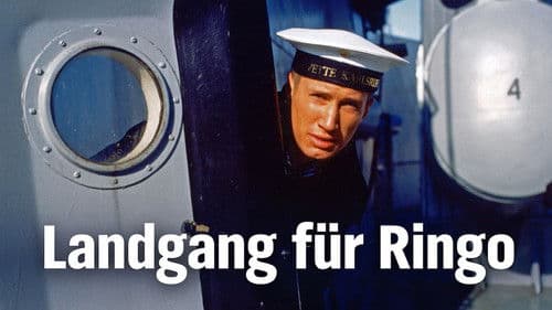 Landgang für Ringo Bild 2