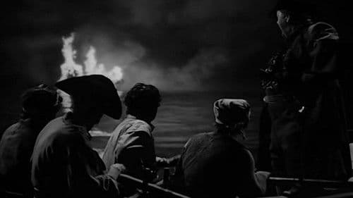 Unter schwarzer Flagge Bild 3