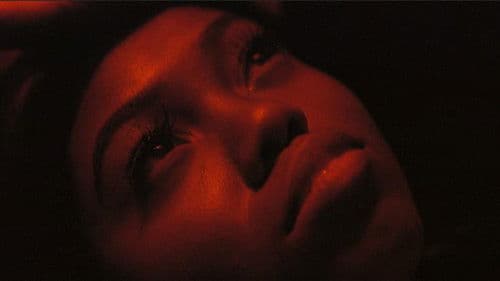 Young & Reckless Bild 1