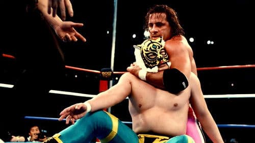 WWF/AJPW/NJPW Wrestling Summit Bild 2