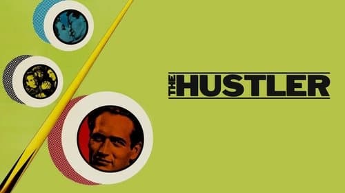 Haie der Großstadt Bild 3