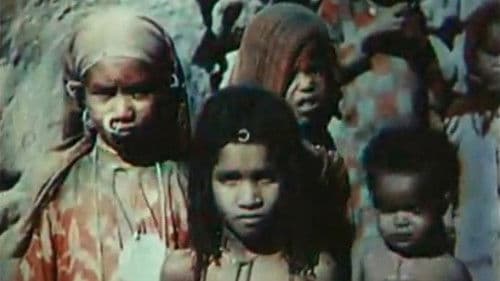 Banks of the Nile Bild 1