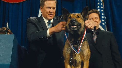 Max - Agent auf vier Pfoten Bild 7