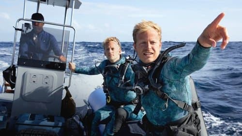 Delfine hautnah mit Bertie Gregory Bild 1