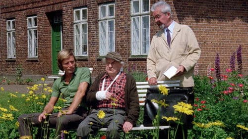 Frühling auf Immenhof Bild 2