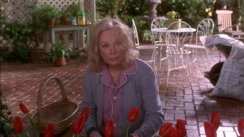 Jahre der Zärtlichkeit Bild 5