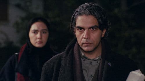 شب‌های روشن Bild 1