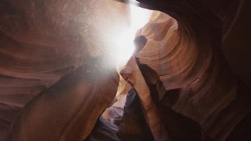 Planet Erde - Die Macht des Lebens Bild 8