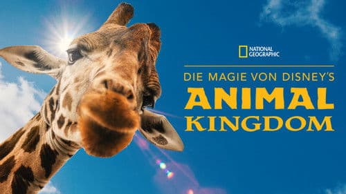 Die Magie von Disney's Animal Kingdom Bild 5