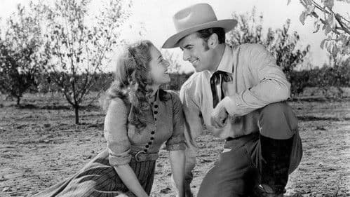 Goldene Erde Kalifornien Bild 2