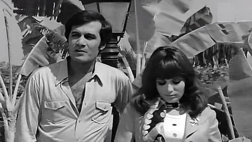 امرأة من القاهرة Bild 2