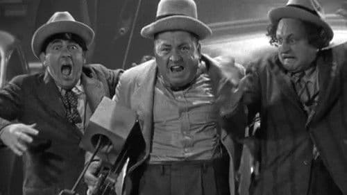 Cactus Makes Perfect Bild 1