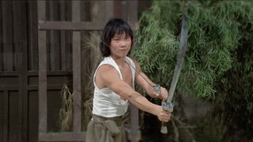 Das tödliche Erbe des Shaolin Bild 6