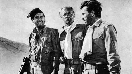 Bitter war der Sieg Bild 4