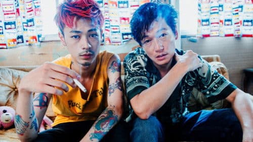 ニワトリ★スター Bild 1