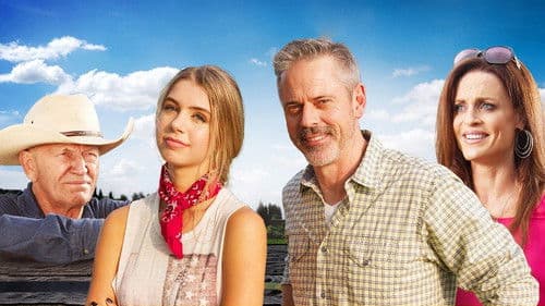 Frei wie der Wind Bild 3