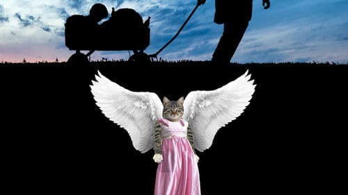 Danke tote Katze Bild 2