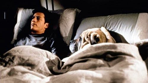 Leben und lieben in L.A. Bild 2