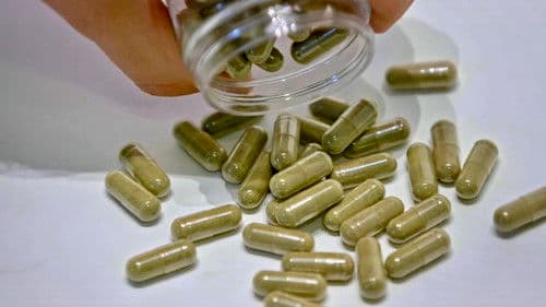 A Leaf of Faith Bild 1