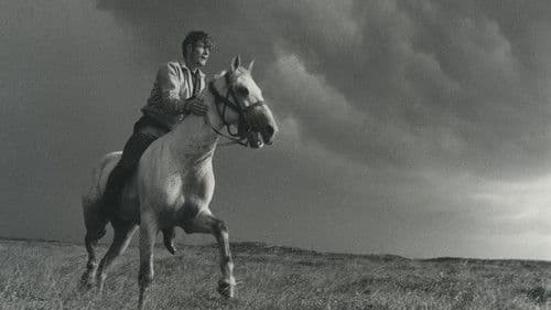 Der Junge, der Pferde liebte Bild 5