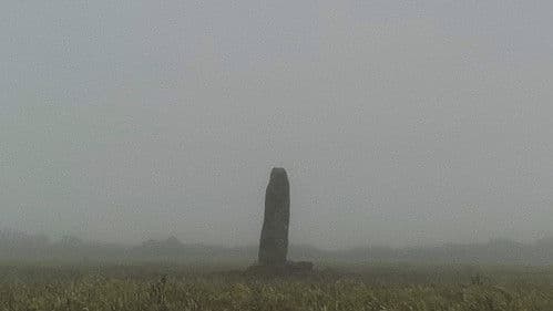 A Year in a Field Bild 1