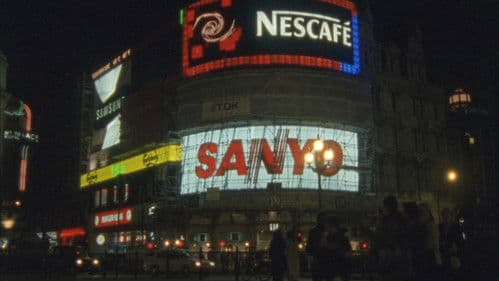 The Man Who Loved Flowers Bild 4