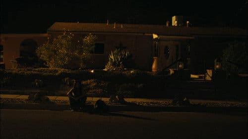 In the Summers Bild 5