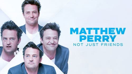 Matthew Perry: Not Just Friends Bild 1