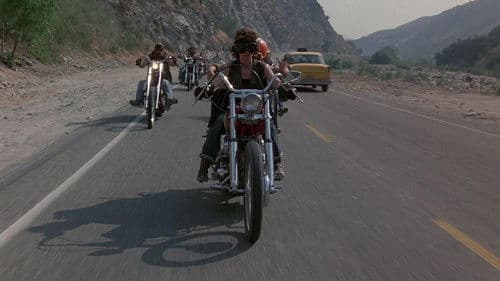 Schweinebande! Bild 1