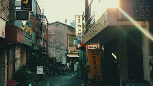 わたしは光をにぎっている Bild 6