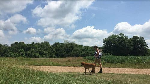 Thrasher Road Bild 1