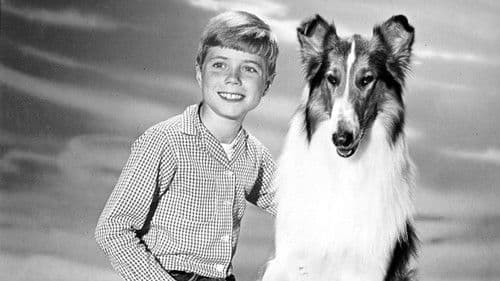 Lassie Bild 1
