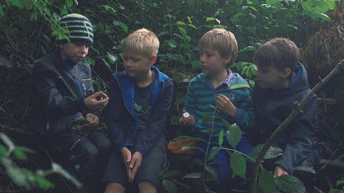 Von Bananenbäumen träumen Bild 4