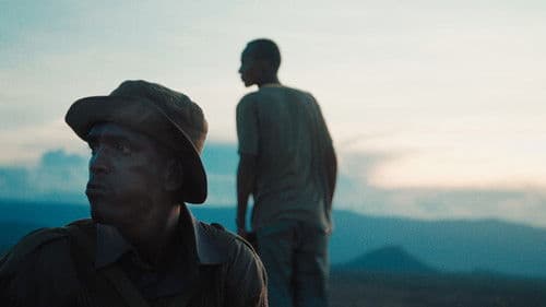 When Lambs Become Lions Bild 2