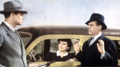 Inside the Law Bild 1