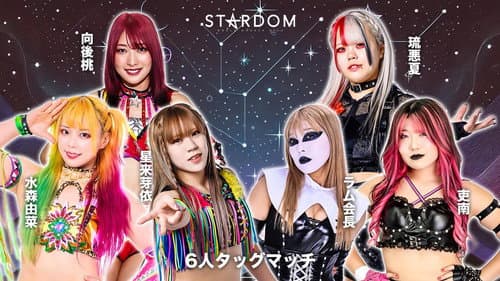 第15回 ゴッデス・オブ・スターダム ～タッグリーグ戦～ in TAKASAKI Bild 5