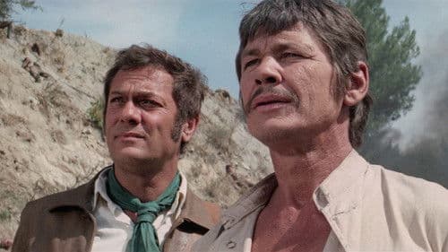 Zwei Kerle aus Granit Bild 7