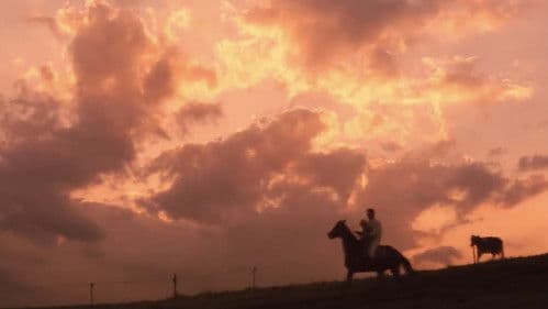 遙かなる山の呼び声 Bild 8