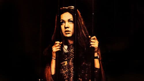 Bir Kadın Tuzağı Bild 1