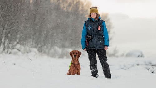 Redningshundene Bild 2