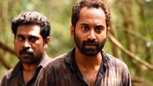 തൊണ്ടിമുതലും ദൃക്സാക്ഷിയും Bild 3