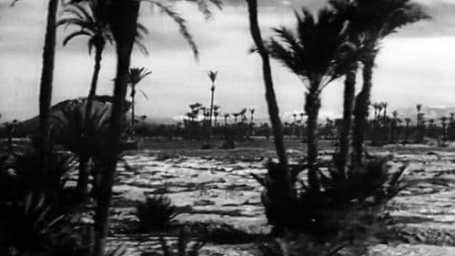 Nous, les Gitans Bild 6