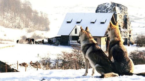 Nejasná zpráva o konci světa Bild 1