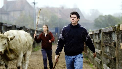 La Terre des hommes Bild 4