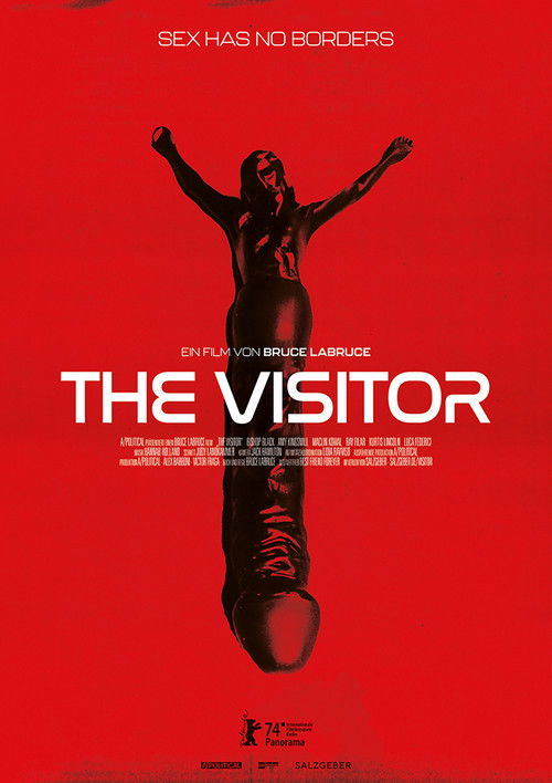 The Visitor