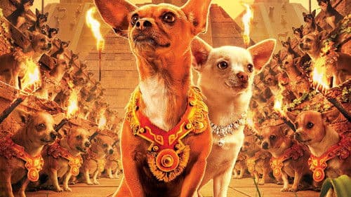 Beverly Hills Chihuahua Bild 2